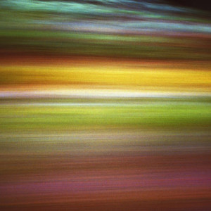 'Road to Gundagi' is one of a series by Narelle Autio in the joint exhibition with Trent Parke, To The Sea.